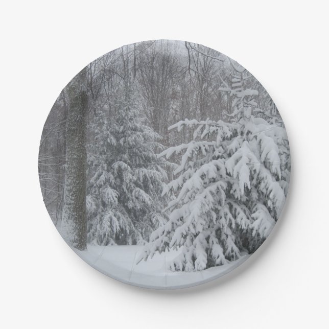 Plato De Papel Placa de papel de vacaciones (Anverso)