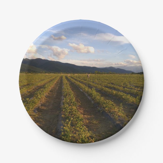 Plato De Papel placa de papel de verano (Anverso)