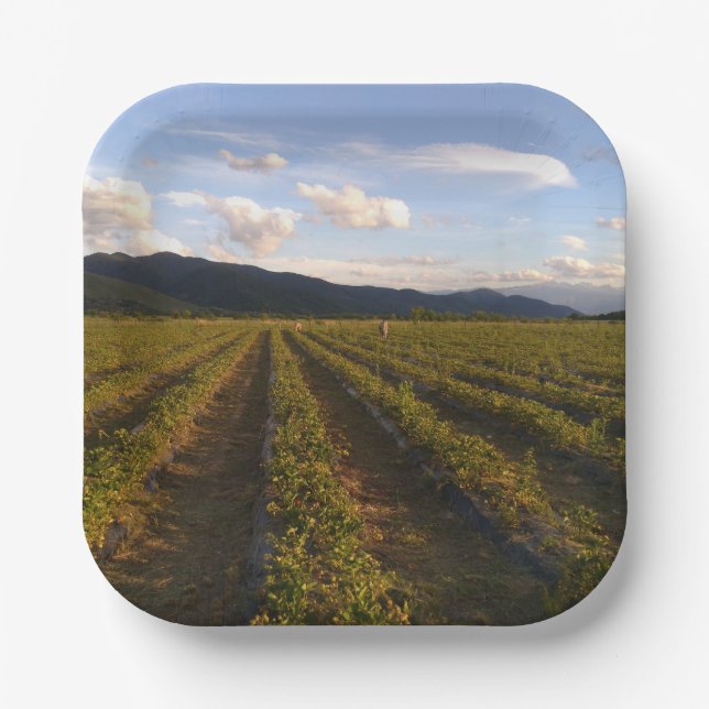 Plato De Papel placa de papel de verano (Anverso)