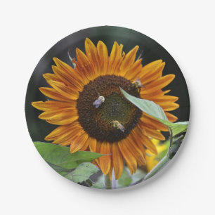 Plato De Papel Placa de papel del girasol imponente