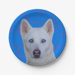 Plato De Papel Placa de papel del husky siberiano blanco