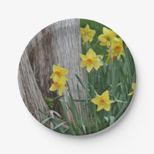 Plato De Papel Placa de papel del narciso