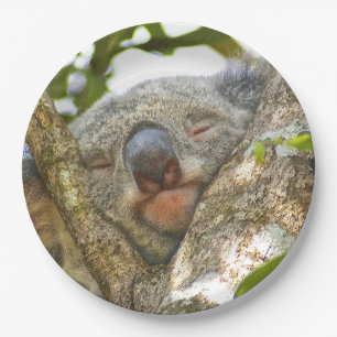 Plato De Papel Placa de papel del oso de koala