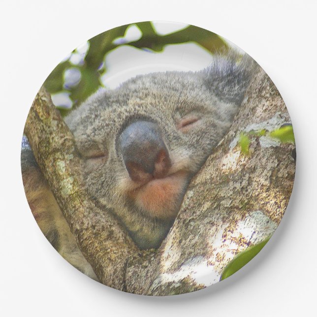 Plato De Papel Placa de papel del oso de koala (Anverso)