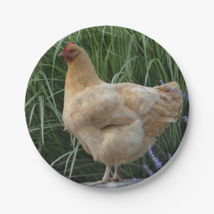 Plato De Papel Placa de papel del pollo