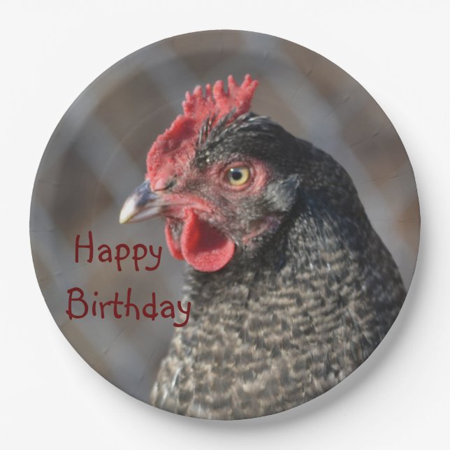 Plato De Papel Placa de papel del pollo del feliz cumpleaños (Anverso)