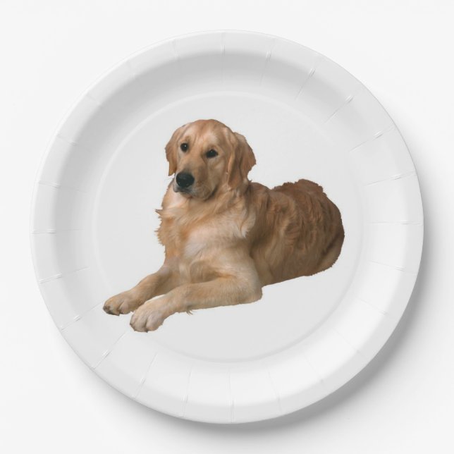 Plato De Papel Placa de papel Golden Retriever (Anverso)