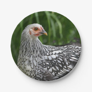 Plato De Papel Placa de papel Hen