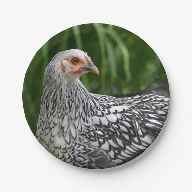 Plato De Papel Placa de papel Hen (Anverso)