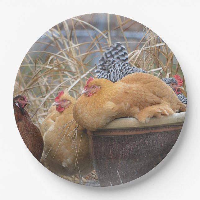 Plato De Papel Placa de papel Hen Fiesta (Anverso)