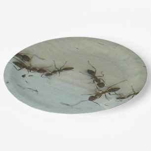 Plato De Papel Placa de papel - Hormigas en picnic