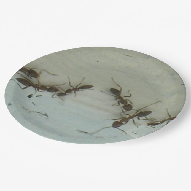 Plato De Papel Placa de papel - Hormigas en picnic (Angular)