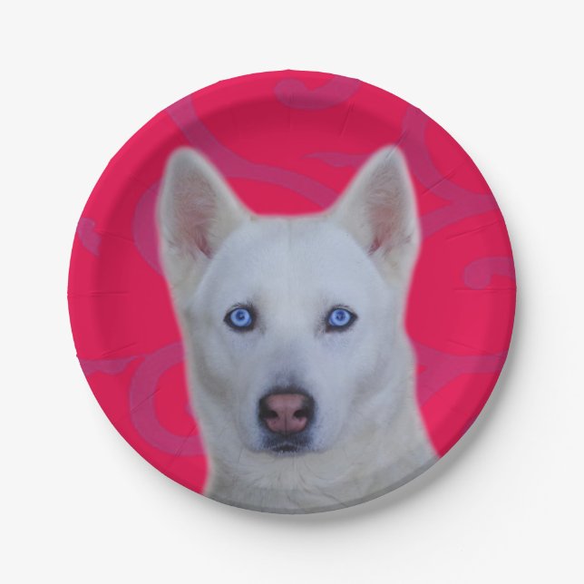 Plato De Papel Placa de papel Husky Siberiano Blanco (Anverso)