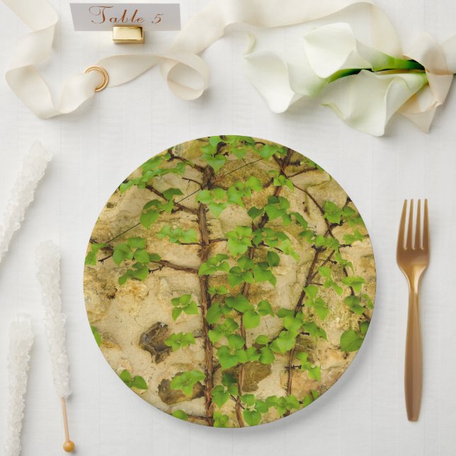 Plato De Papel Placa de papel Hydrangea petiolaris (Boda)