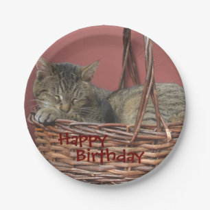 Plato De Papel Placa de papel Kitty para dormir feliz cumpleaños
