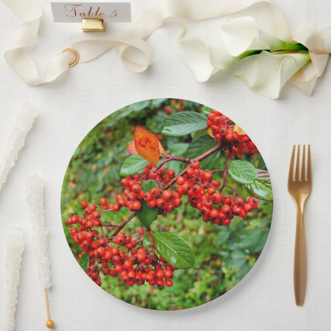 Plato De Papel Placa de papel lacteus de Cotoneaster (Boda)
