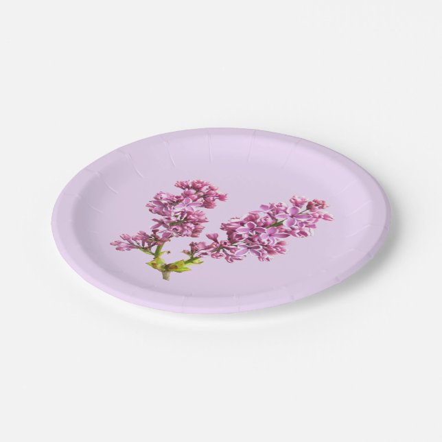 Plato De Papel Placa de papel - Lilac Blossom (Angular)