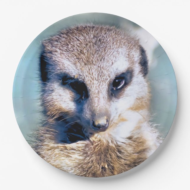 Plato De Papel Placa de papel MEERKAT (Anverso)