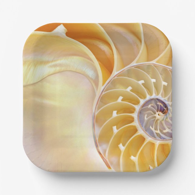 Plato De Papel Placa de papel Nautilus (Anverso)