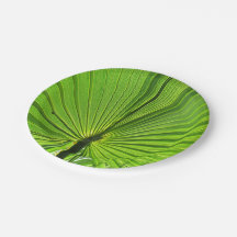 Placa de papel - Palm tropical