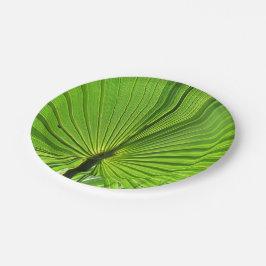Plato De Papel Placa de papel - Palm tropical