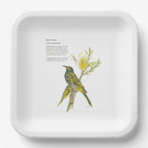 Plato De Papel Placa de papel para honeyeater en peligro de extin