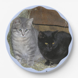 Plato De Papel Placa de papel para reglas de gatos