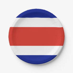 Plato De Papel Placa de papel patriótico con bandera de Costa Ric