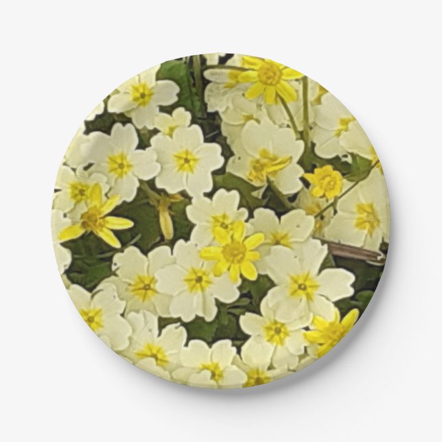 Plato De Papel Placa de papel Primroses de primavera (Anverso)