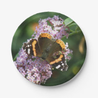 Placa de papel REd Admiral Butetrfly y Buddleia