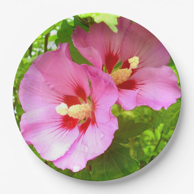 Plato De Papel Placa de papel rosa hibiscus (Anverso)
