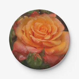 Plato De Papel Placa de papel Rosa naranja