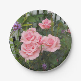 Plato De Papel Placa de papel rosa para rosas