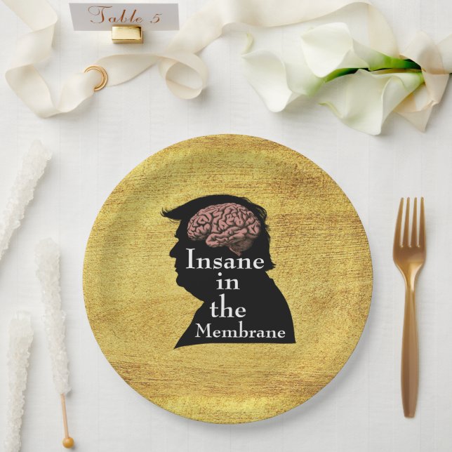 Plato De Papel Placa de papel Trump/demente (Boda)