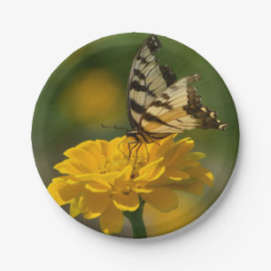 Plato De Papel Placa de papel Zinnia de la mariposa