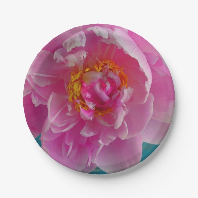 Plato De Papel Placa peony rosa (Anverso)