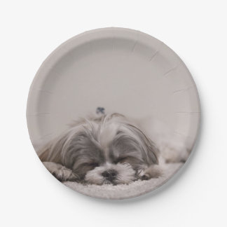 Plato De Papel Placa Shih Tzu personalizada, perro durmiente