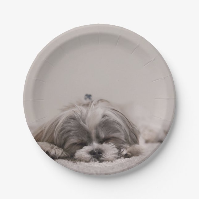 Plato De Papel Placa Shih Tzu personalizada, perro durmiente (Anverso)