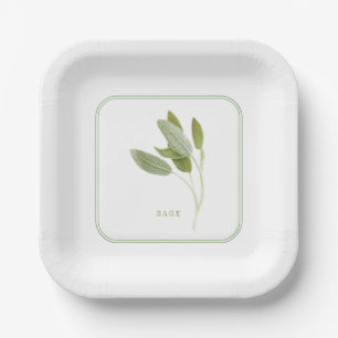 Plato De Papel Placas cuadradas de papel FRESH SAGE 7"