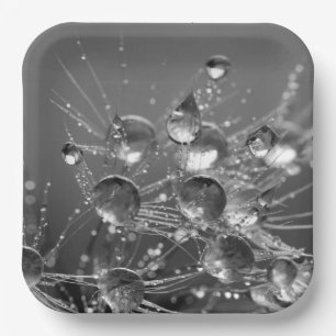 Plato De Papel Placas de gotas de agua tranquilas