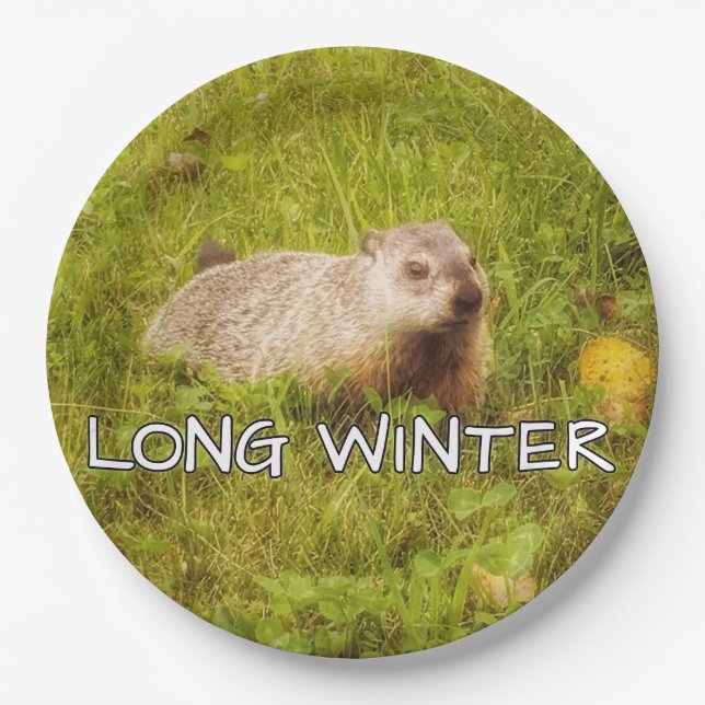 Plato De Papel Placas de invierno largas (Anverso)