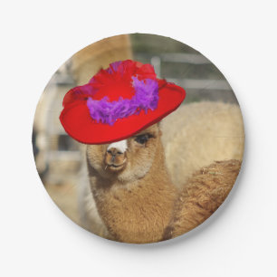 Plato De Papel Placas de la alpaca