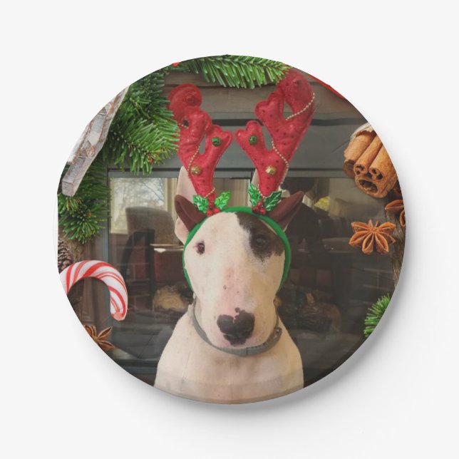 Plato De Papel Placas de Navidades Rex (Anverso)