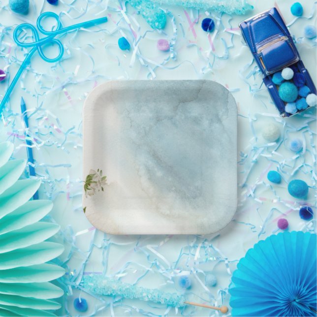 Plato De Papel Placas de papel (Fiesta)