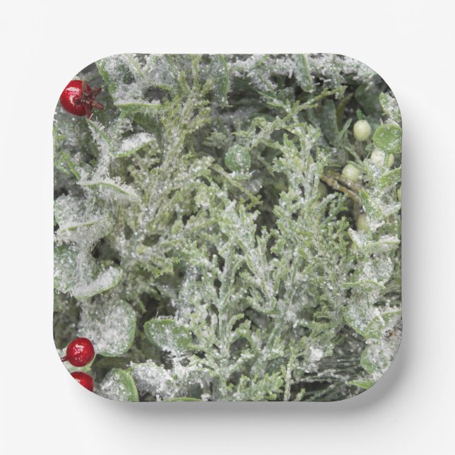 Plato De Papel Placas de papel (Anverso)