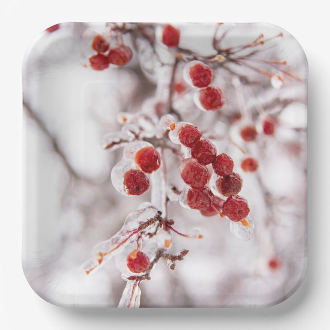 Plato De Papel Placas de papel (Anverso)