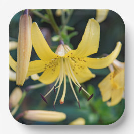 Plato De Papel Placas de papel