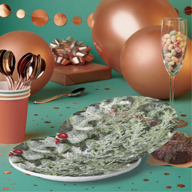 Plato De Papel Placas de papel (Multi)