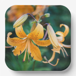 Plato De Papel Placas de papel