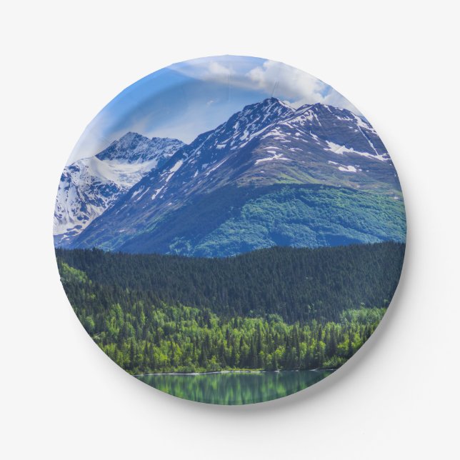 Plato De Papel Placas de papel (Anverso)